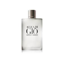Acqua di Gio Giorgio Armani Eau De Toilette 100 ml
