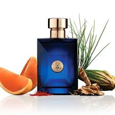 Versace Pour Homme Dylan Blue Eau de Toilette 100 ml